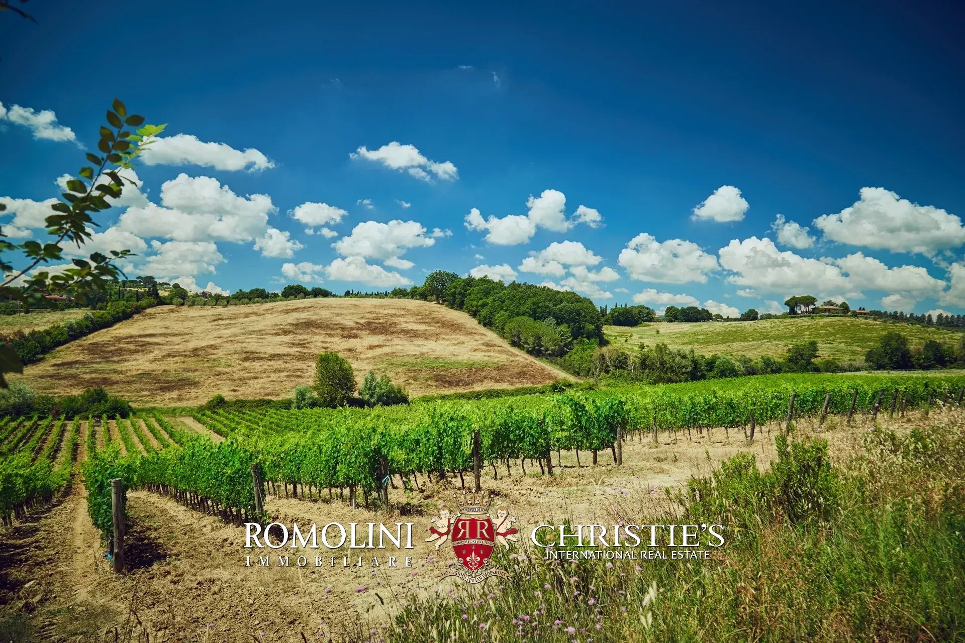 18 Bedroom Vineyard's Image 35