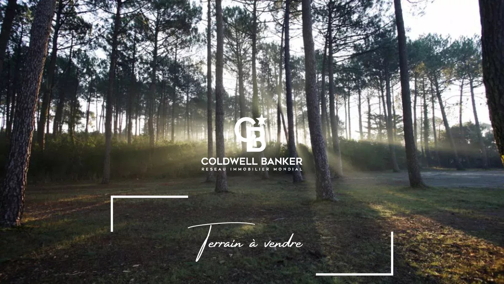 Agence immobilière de Silver Coast Int. Realty