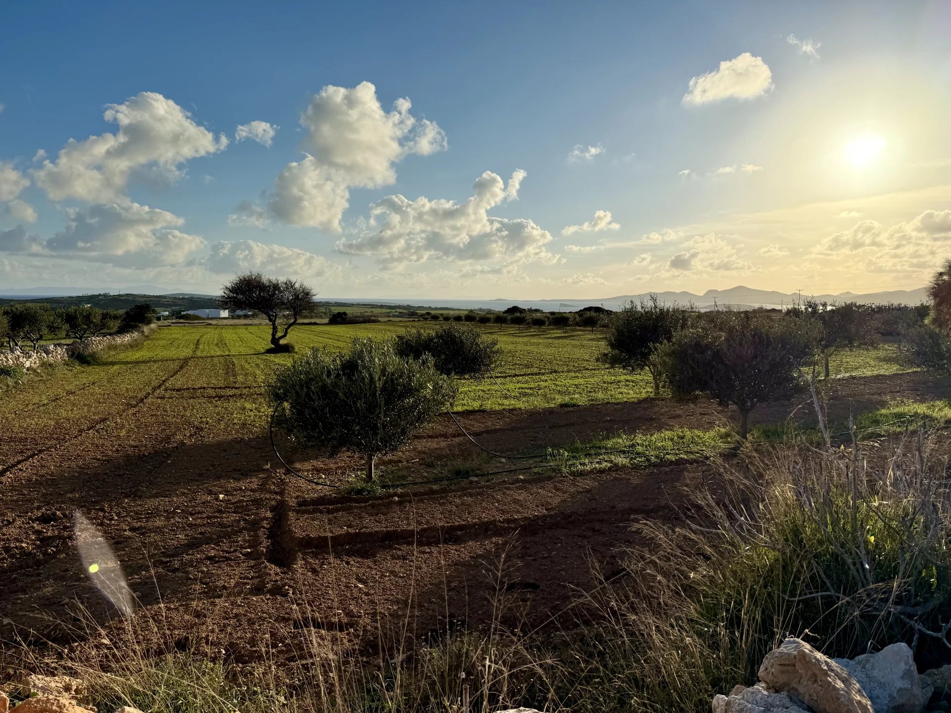 Εικόνα ιδιοκτησίας 4