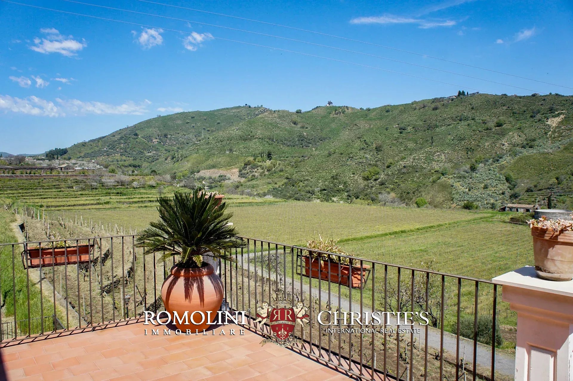 9 Bedroom Vineyard's Image 57