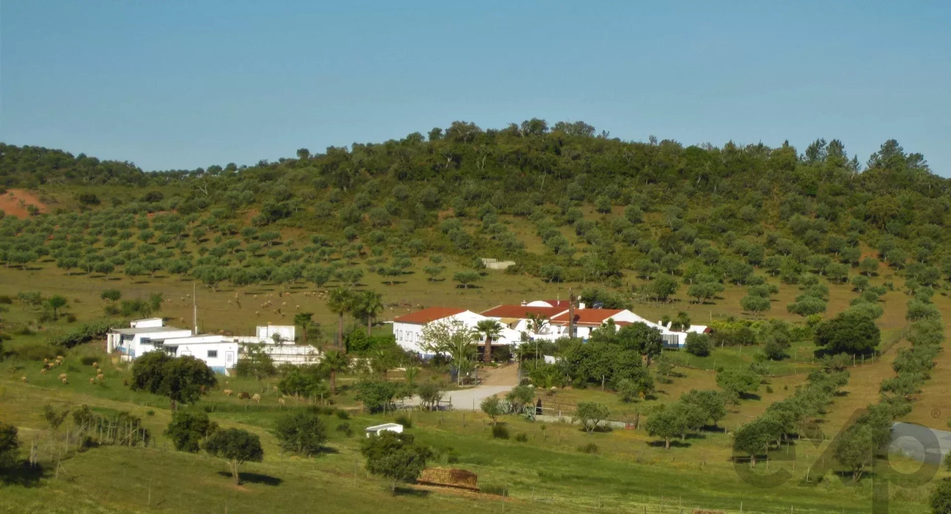 Herdade Cativante in Alentejo: A Tourist Investment with Immeasurable Potential 🌿✨ 86362095 image 12