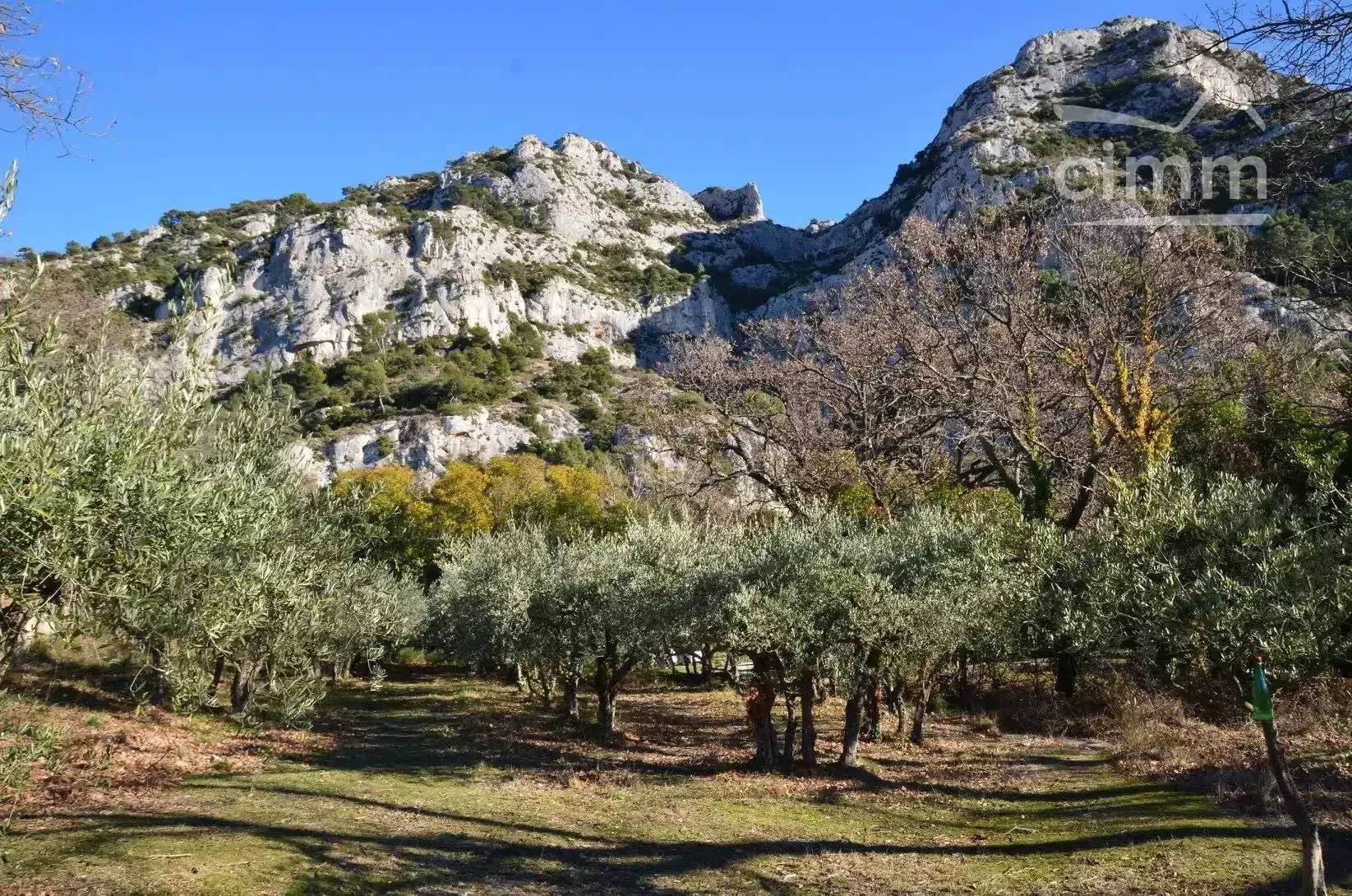 Terrain constructible