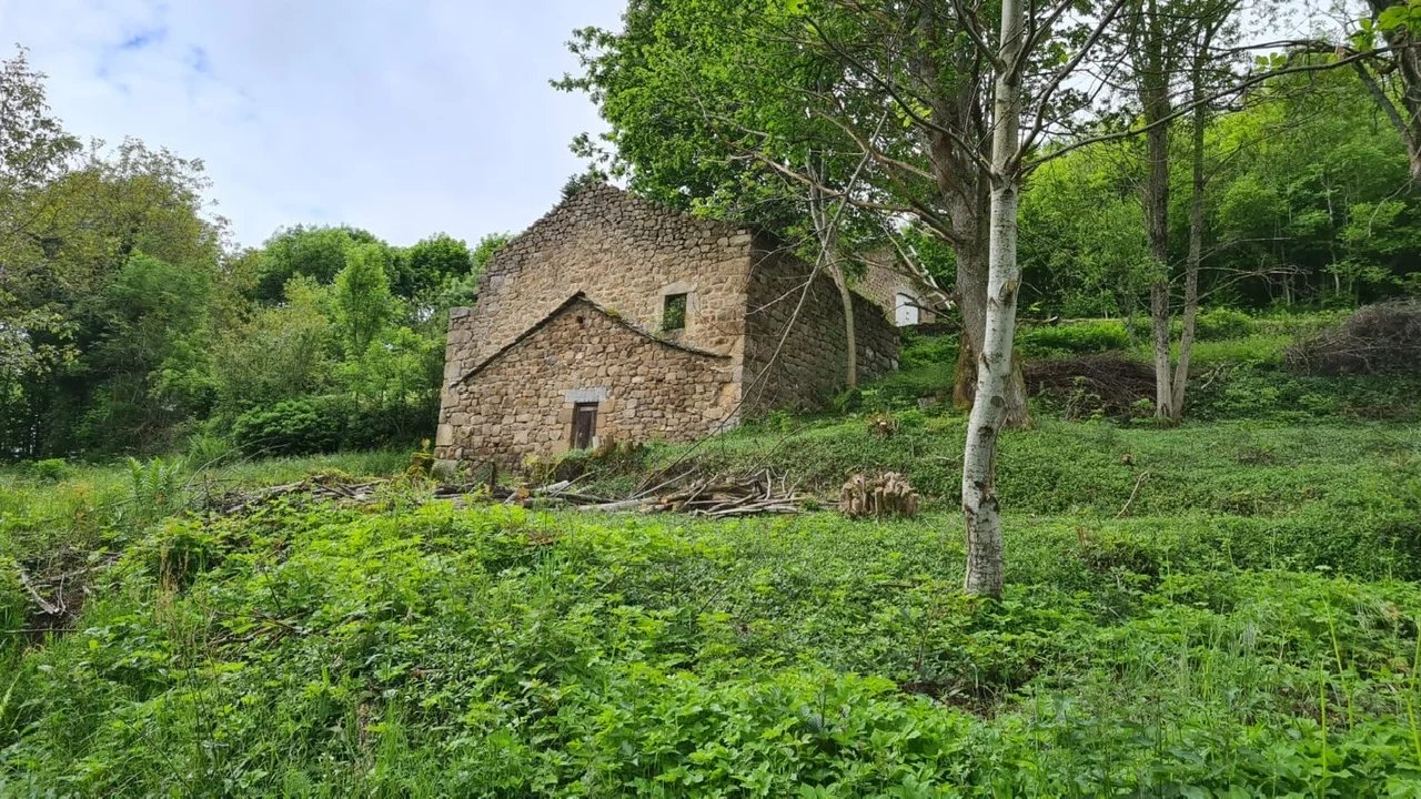 Vente Ruine Devesset