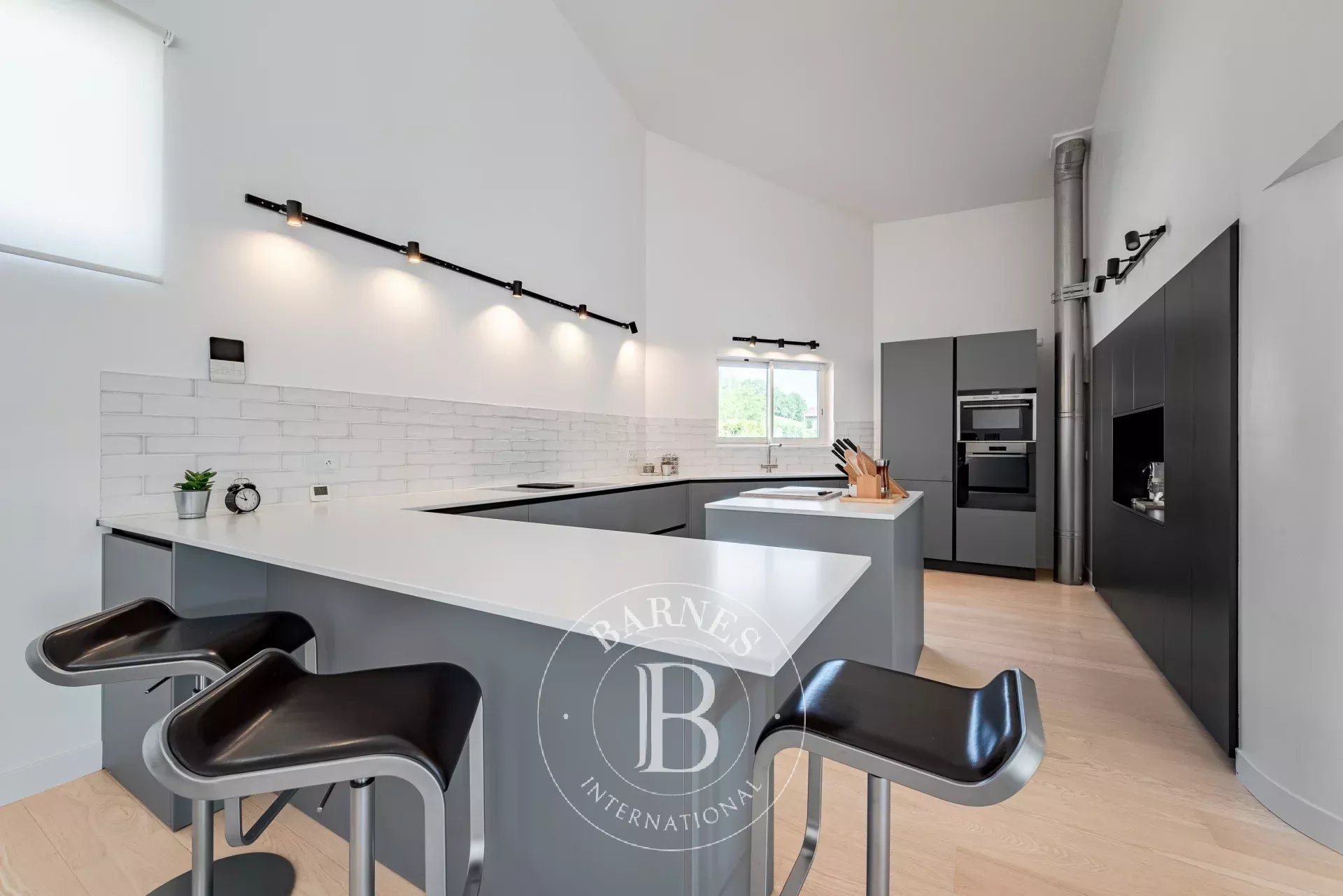 Maison jumelée Allonzier-la-Caille  -  ref 86997956 (picture 3)