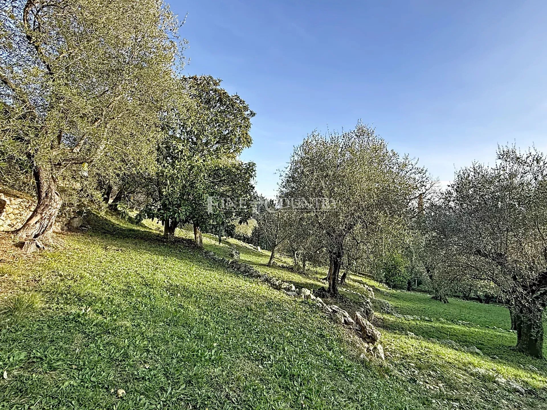 Photo of For sale property in Cabris