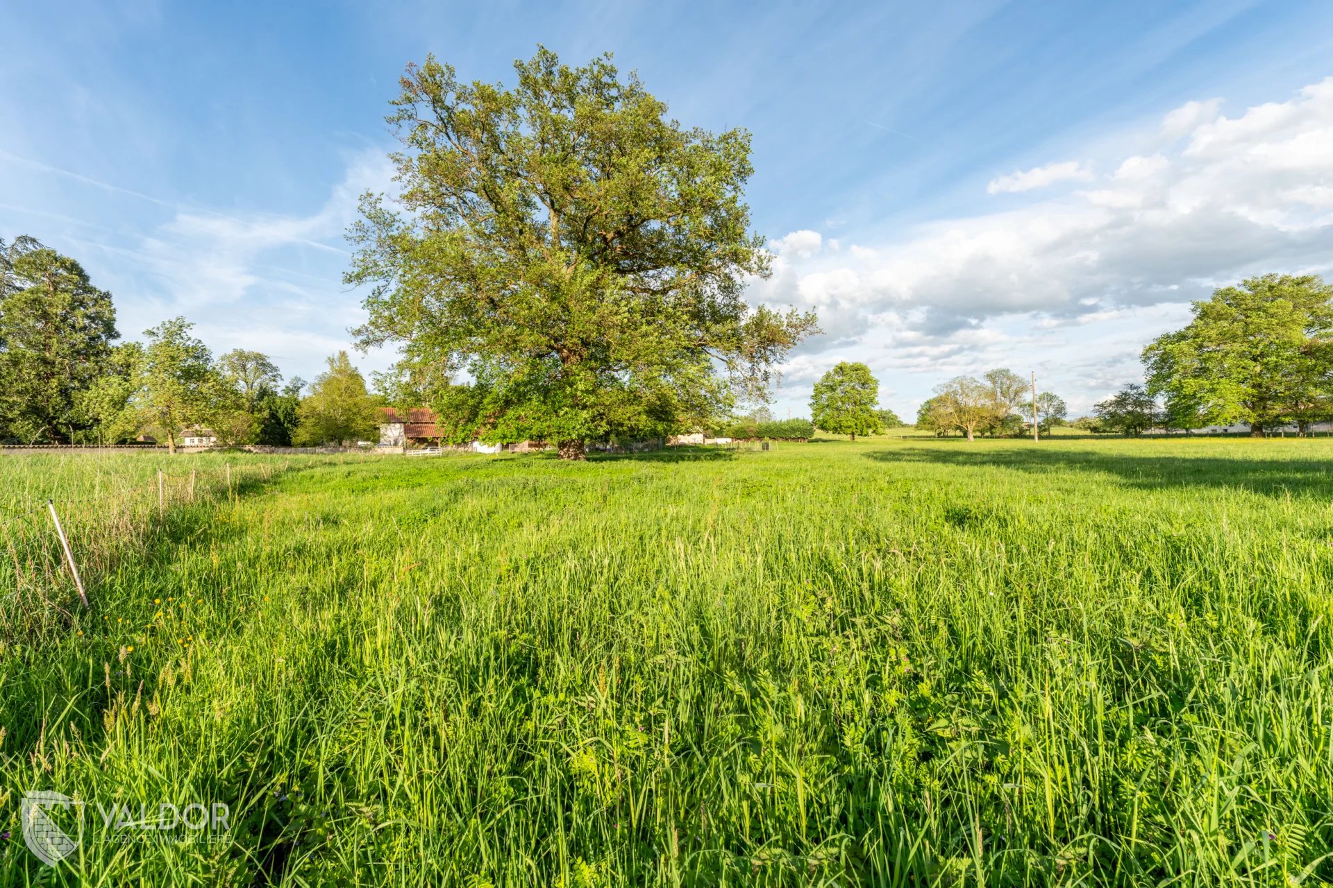 Propriété de 2 hectares avec maison de 190 m², piscine et dépendances