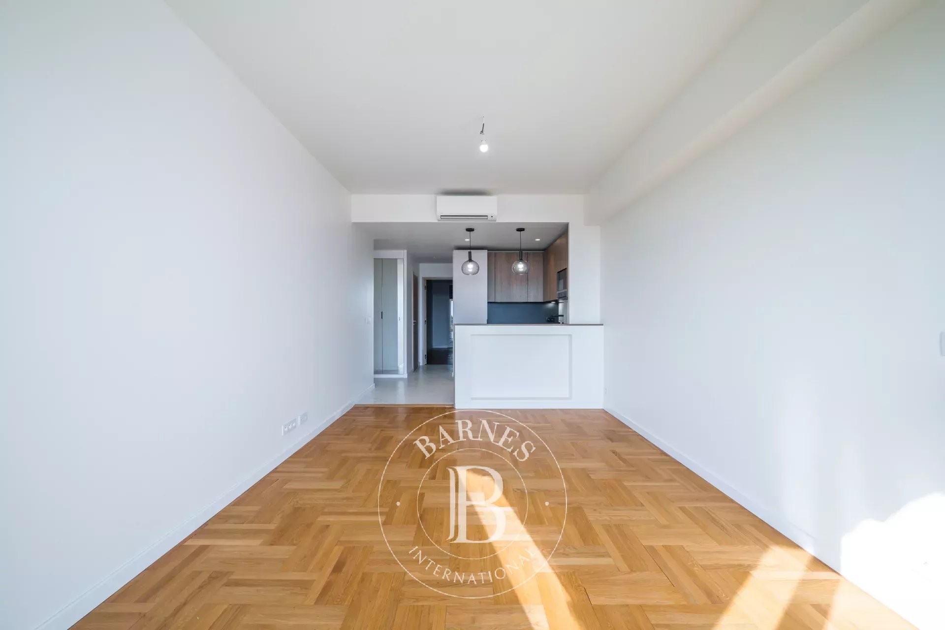 Daire Nice - picture 13