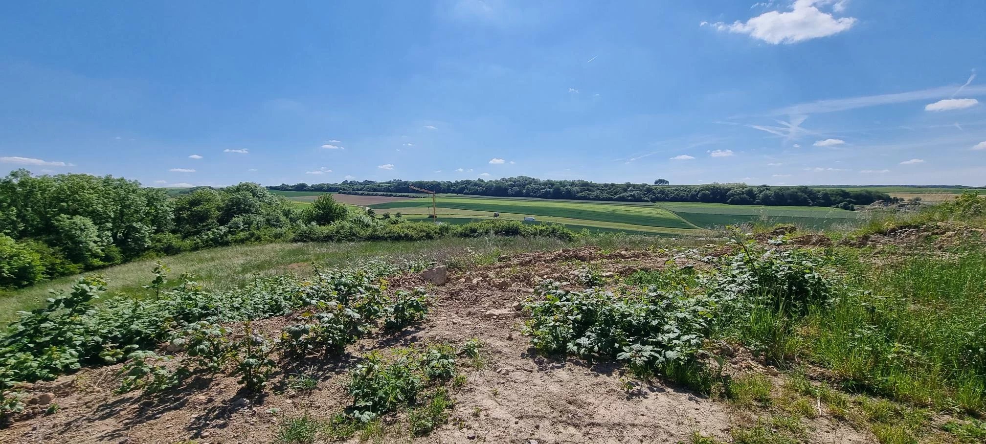 Ground in Wincheringen