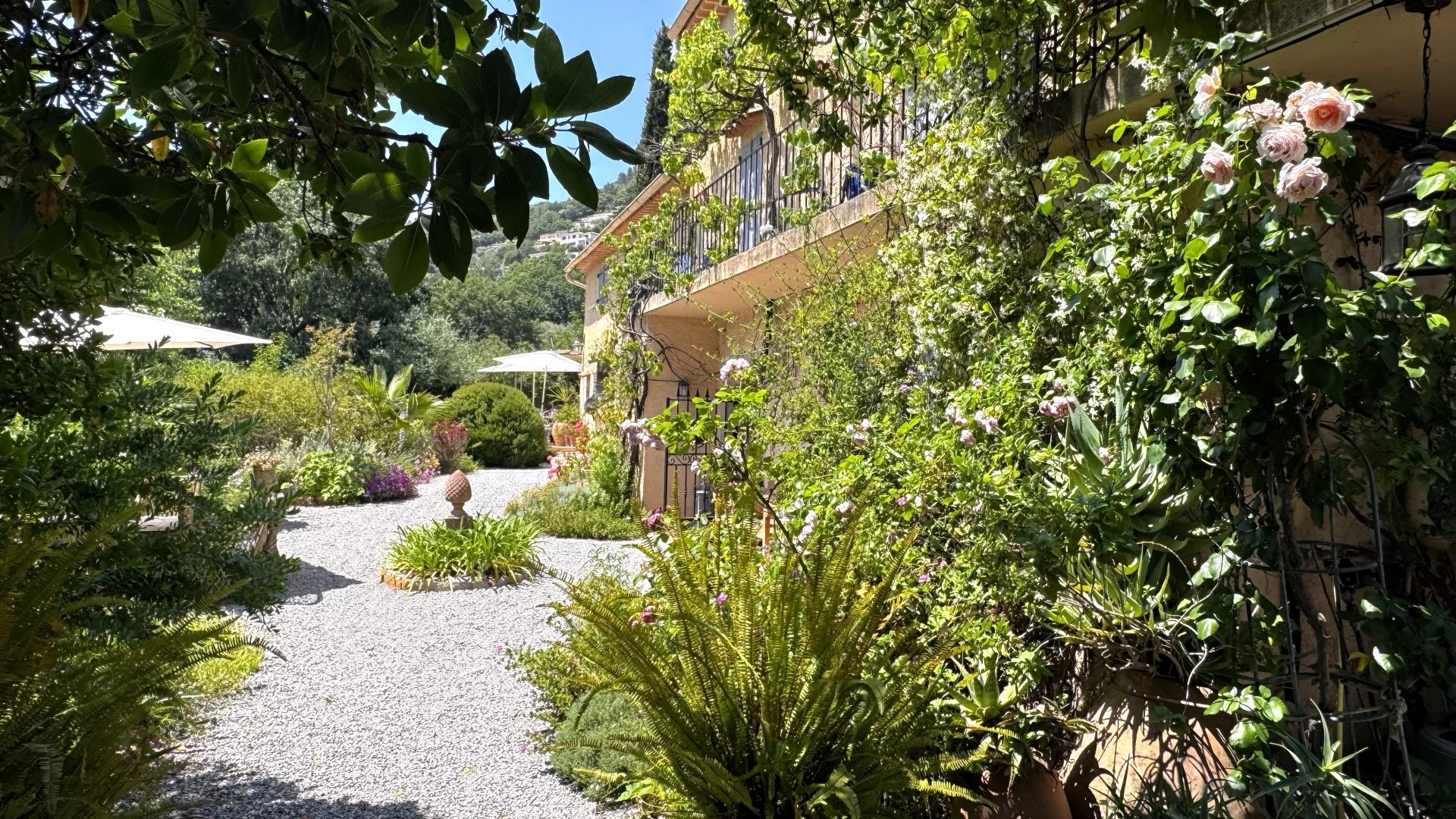 Charming 18th Century Mas with Pool and Sea View