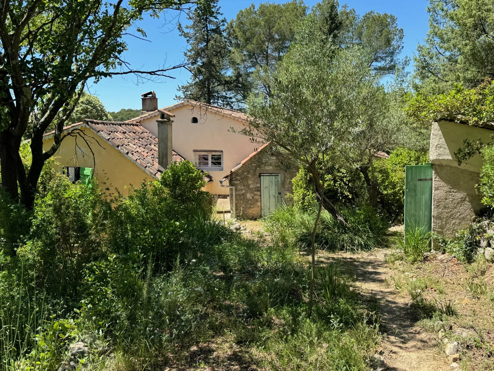 BELLE BASTIDE PROVENÇALE 5 CHAMBRES — photo 20