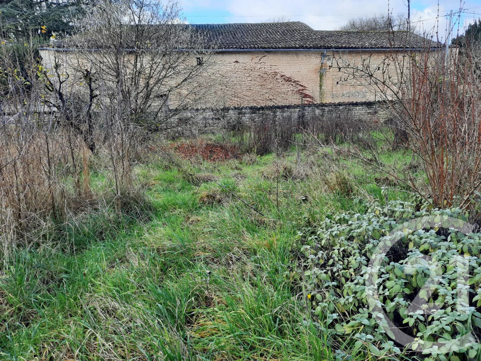 Vente Terrain Chef-Boutonne