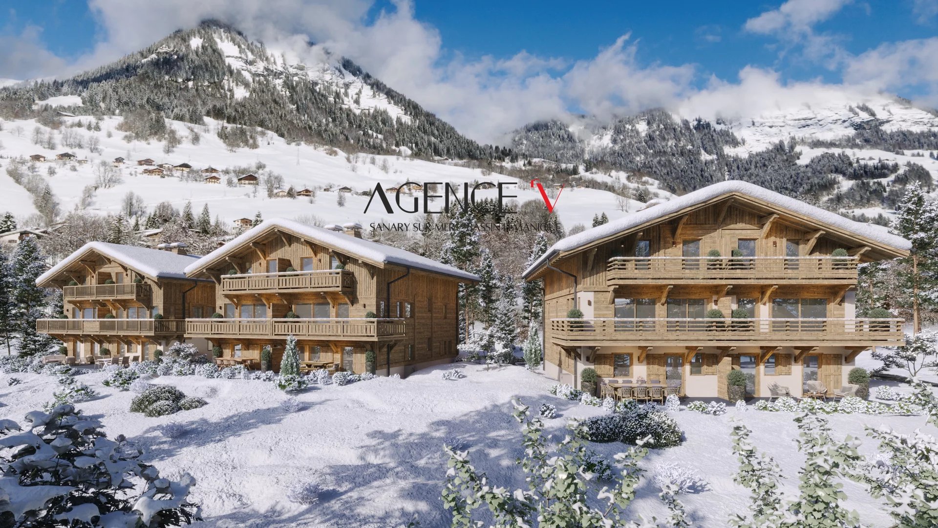Vente Chalet Praz-sur-Arly