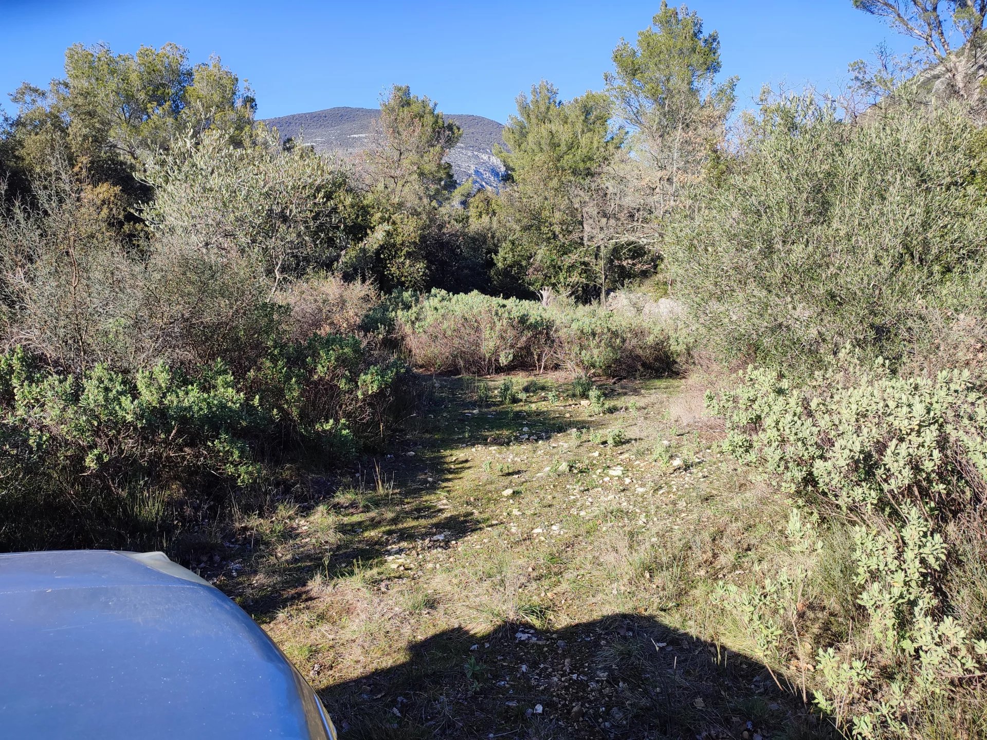 Terrain Non constructible de 8210m² - Saint Cezaire sur siagne