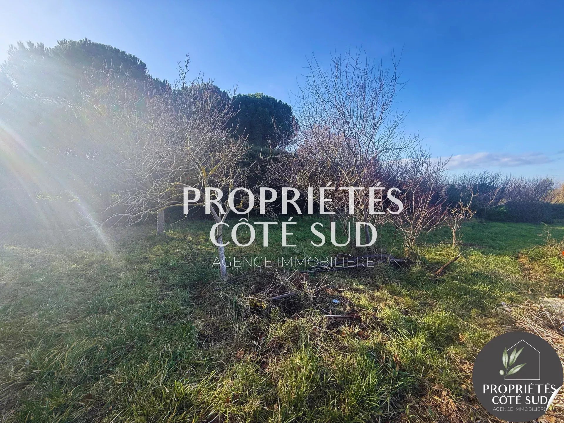 Agence immobilière de SARL PROPRIÉTÉS CÔTÉ SUD