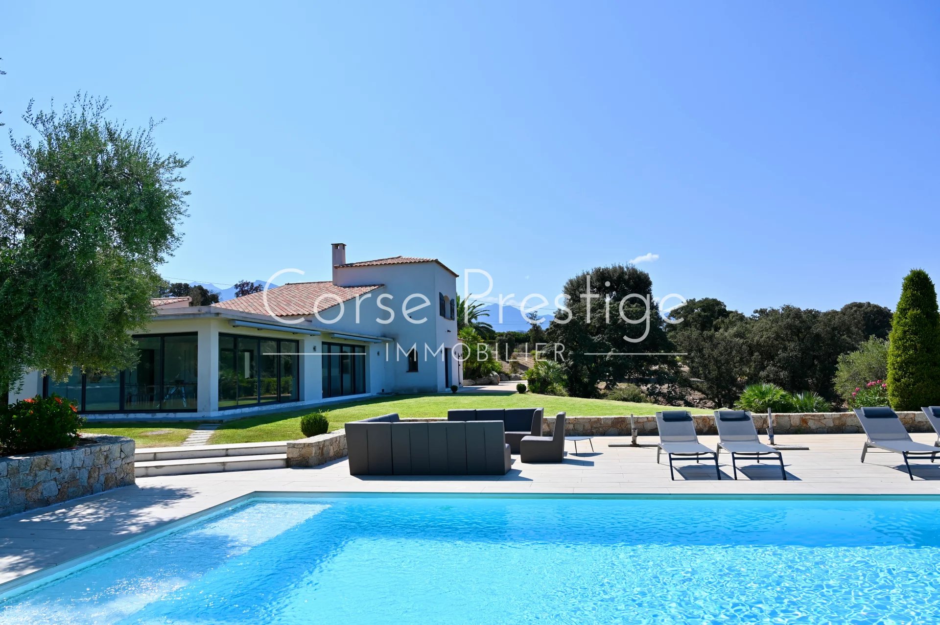 a vendre - villa avec piscine - lumio - haute corse image1