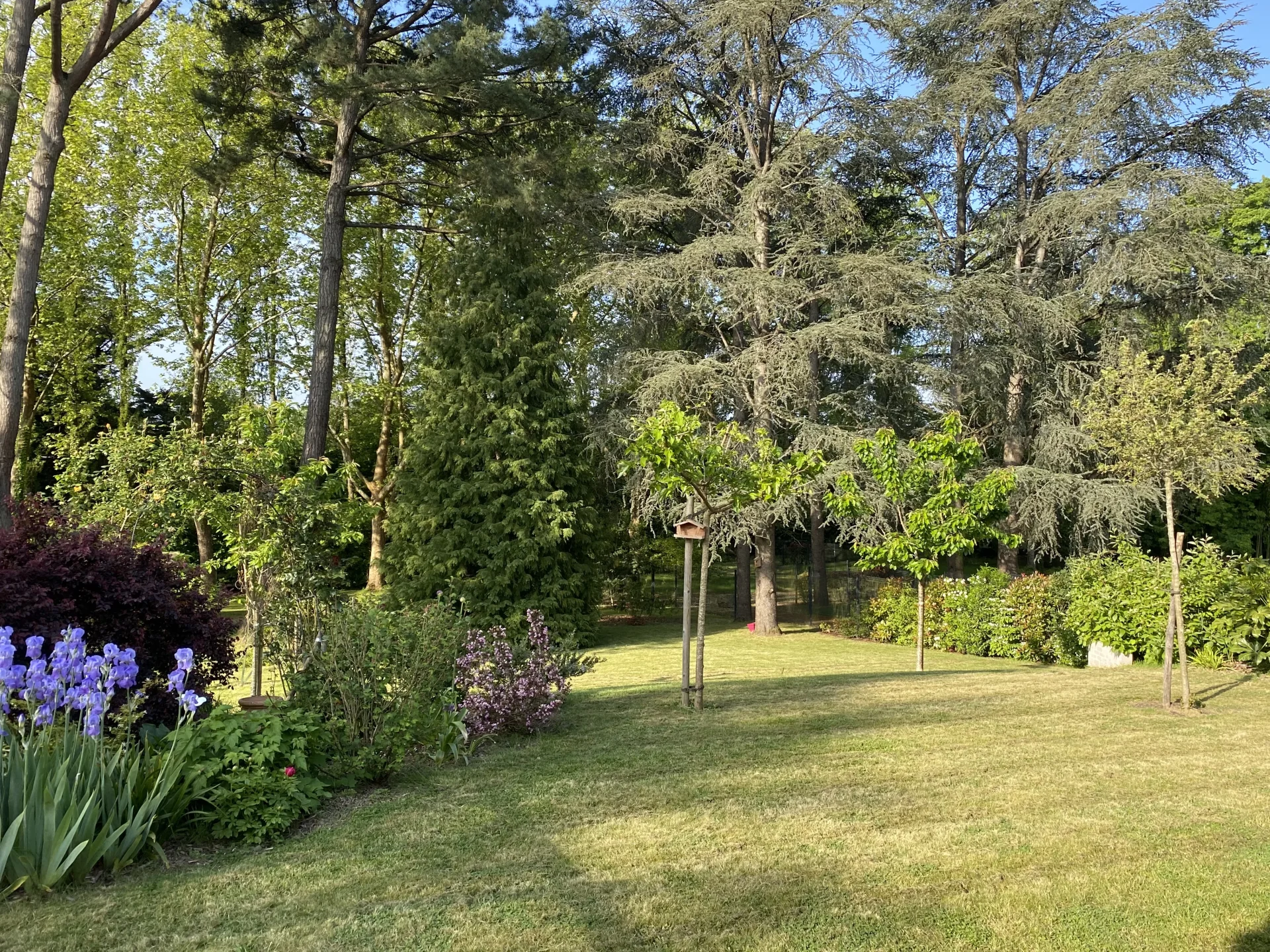 Vertou - CENTRE-VILLE