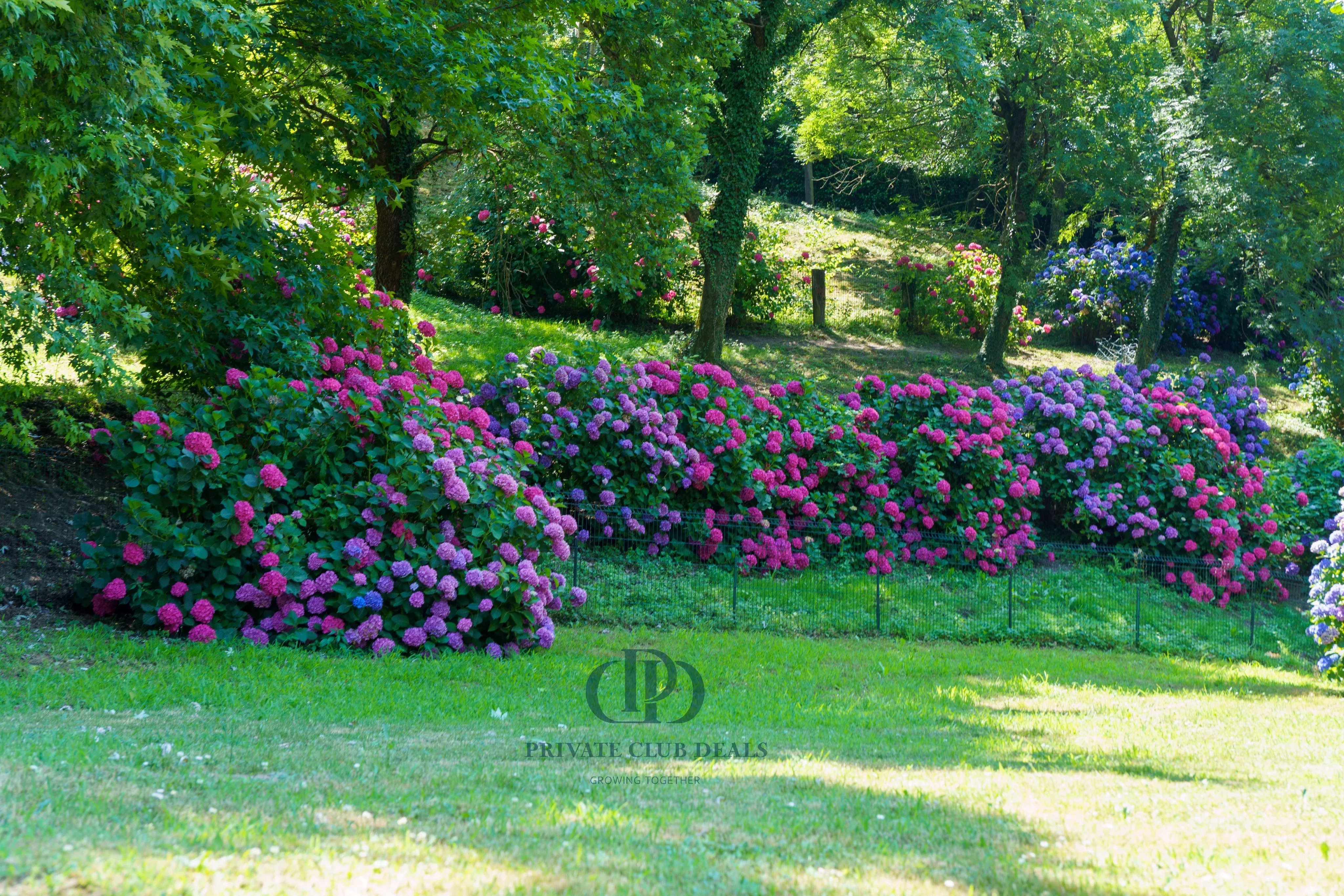 Villa Dolzago - picture 20