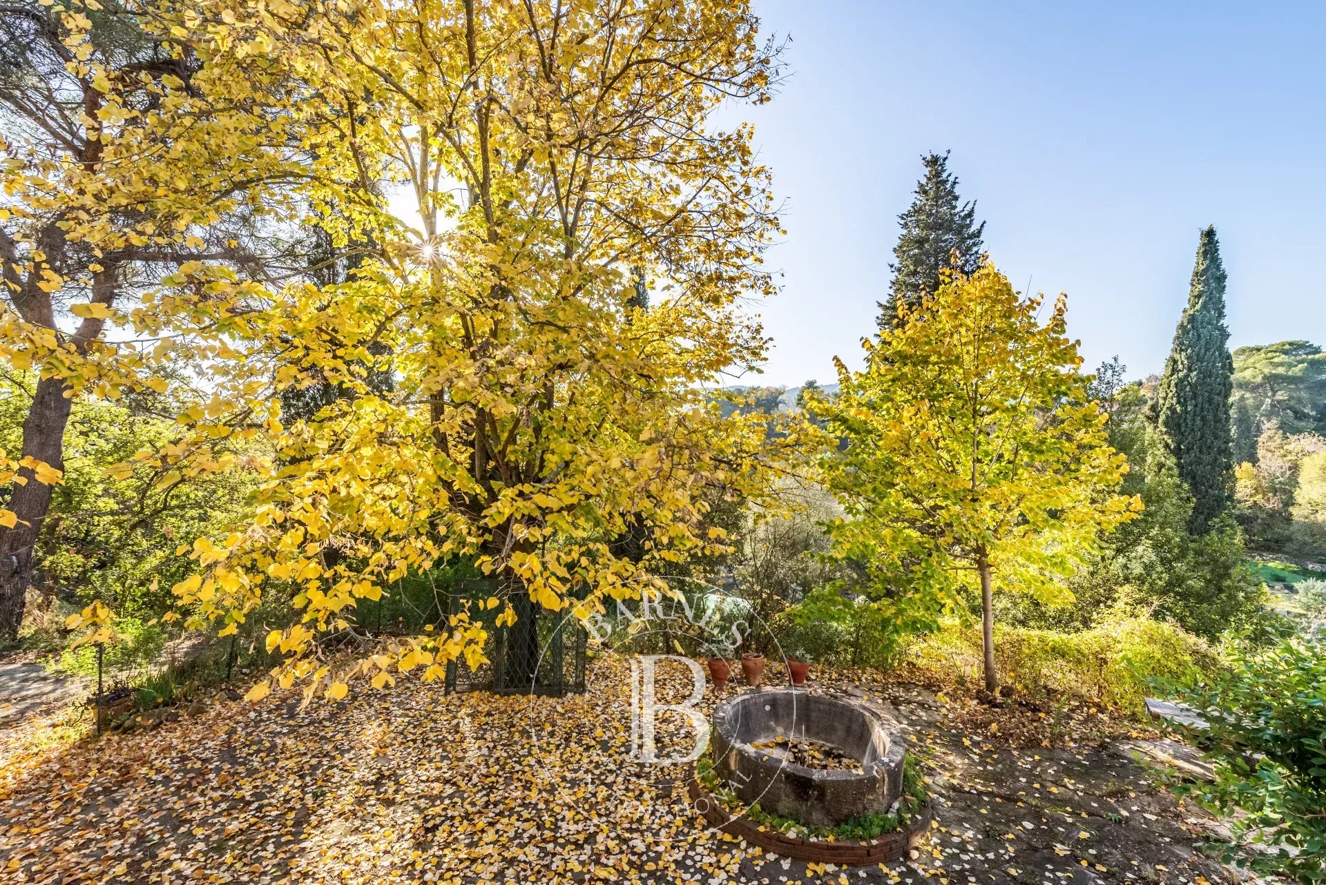 Ev Mougins - picture 16