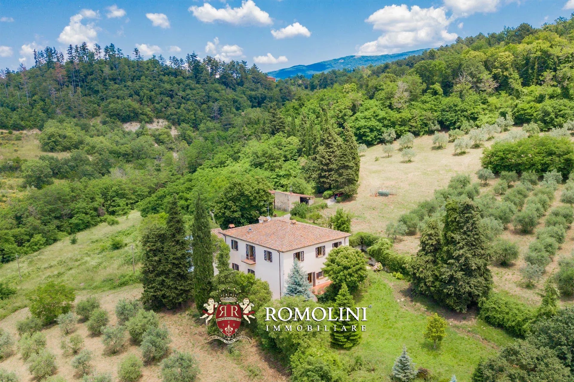 Property Slider Image