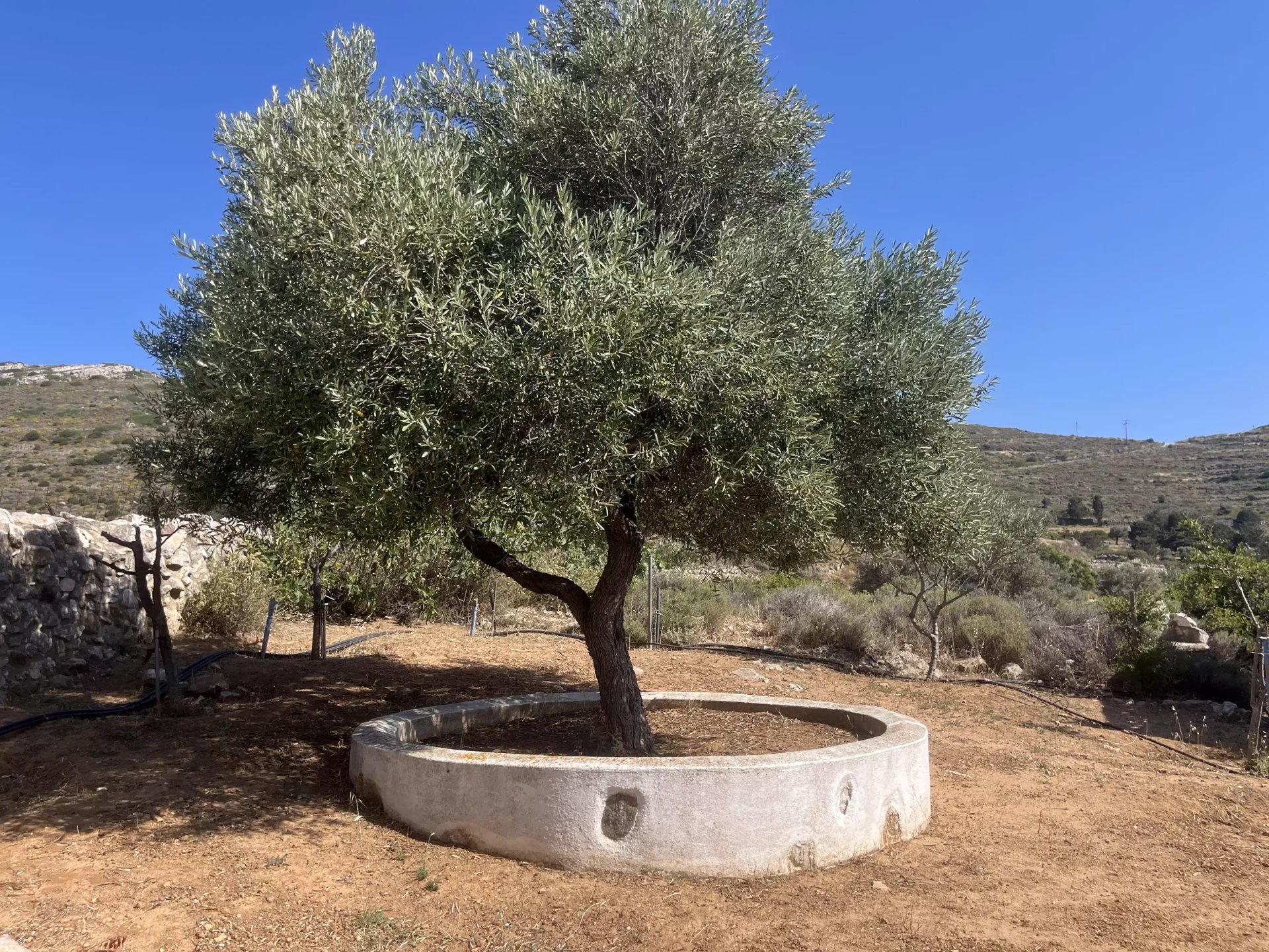 Image de la propriété 5