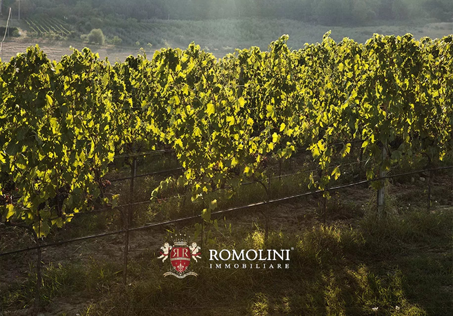 7 Bedroom Vineyard's Image 16