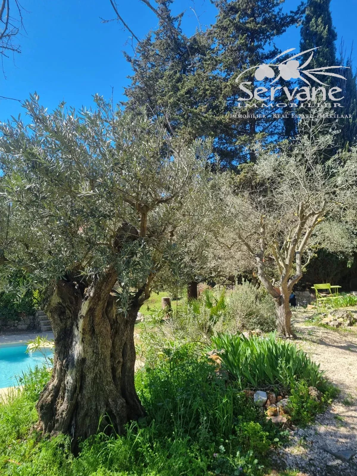 MAGNIFICENT T7 BASTIDE IN LORGUES STONE