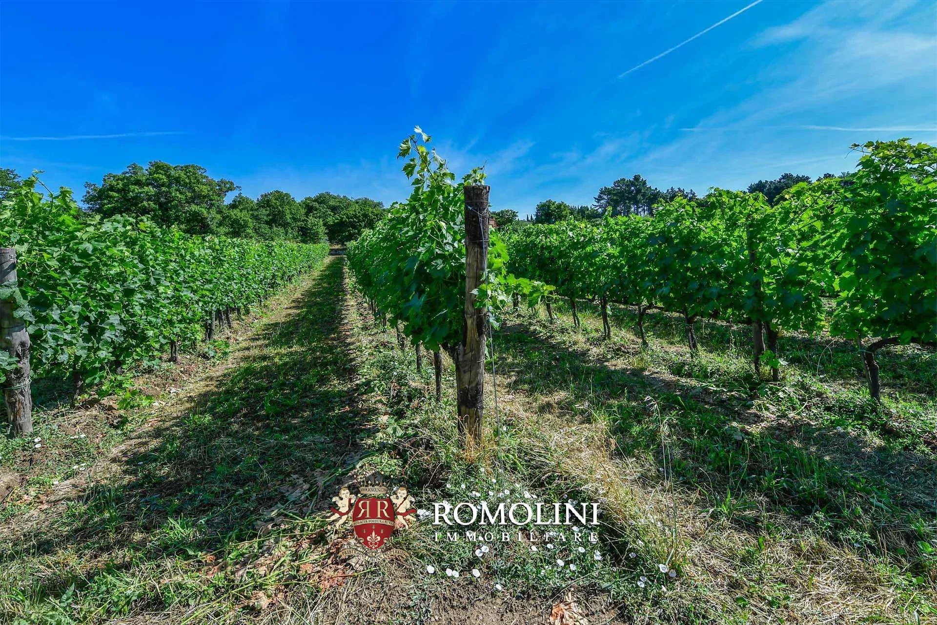 16 Bedroom Vineyard's Image 41