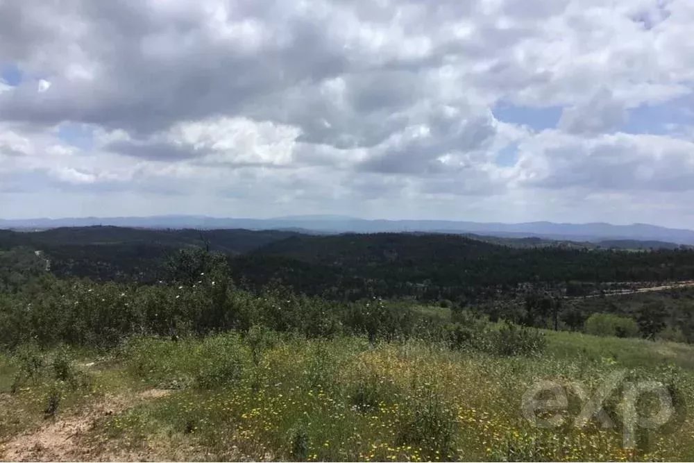 Exceptional 65-Hectare Estate in Alentejo with Tourism Development Potential 85506160 image 21
