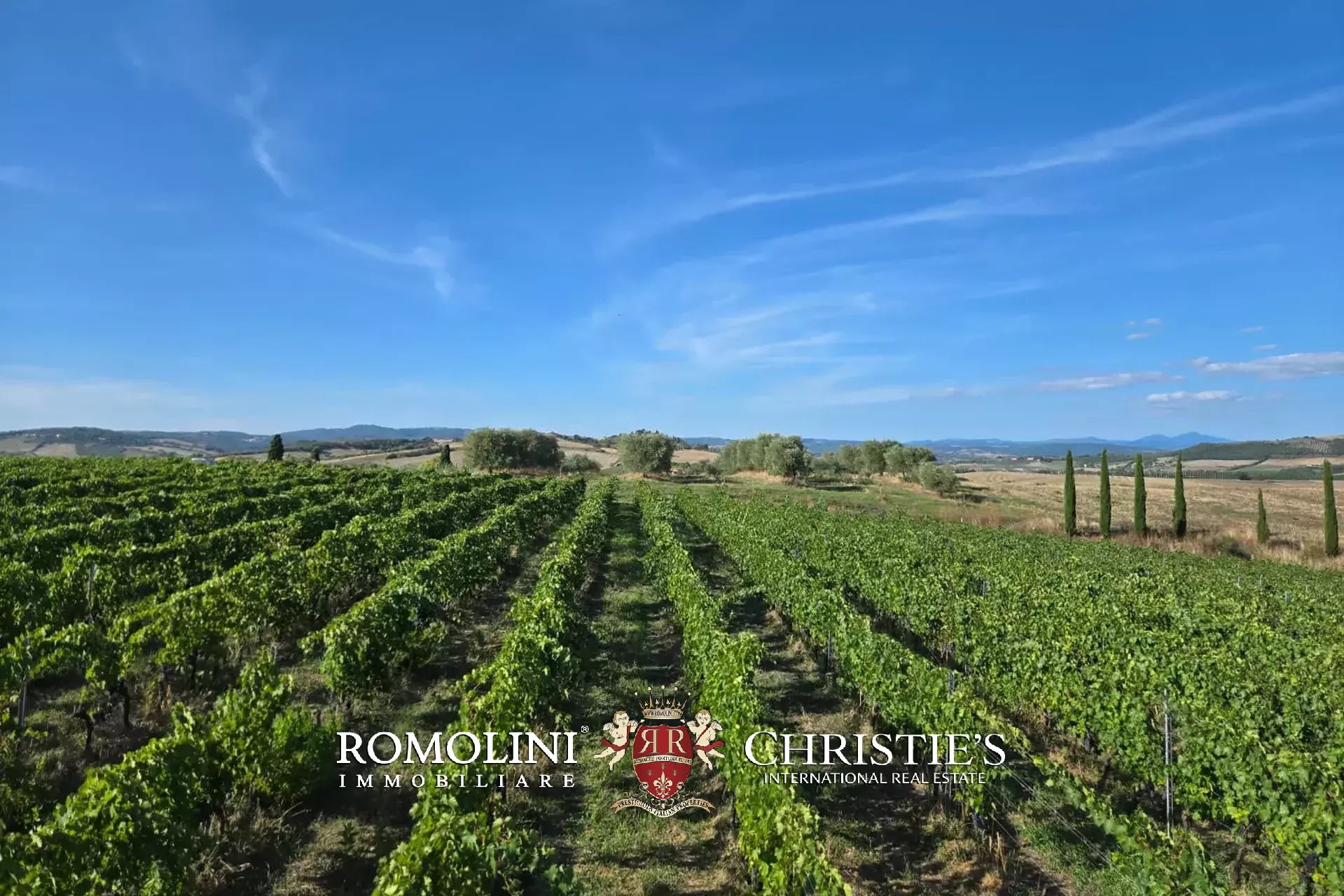 2 Bedroom Vineyard's Image 8