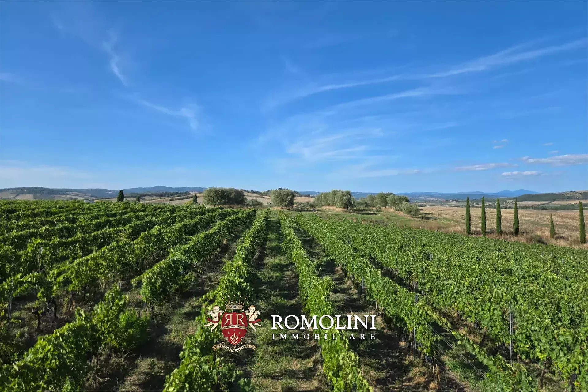 2 Bedroom Vineyard's Image 8