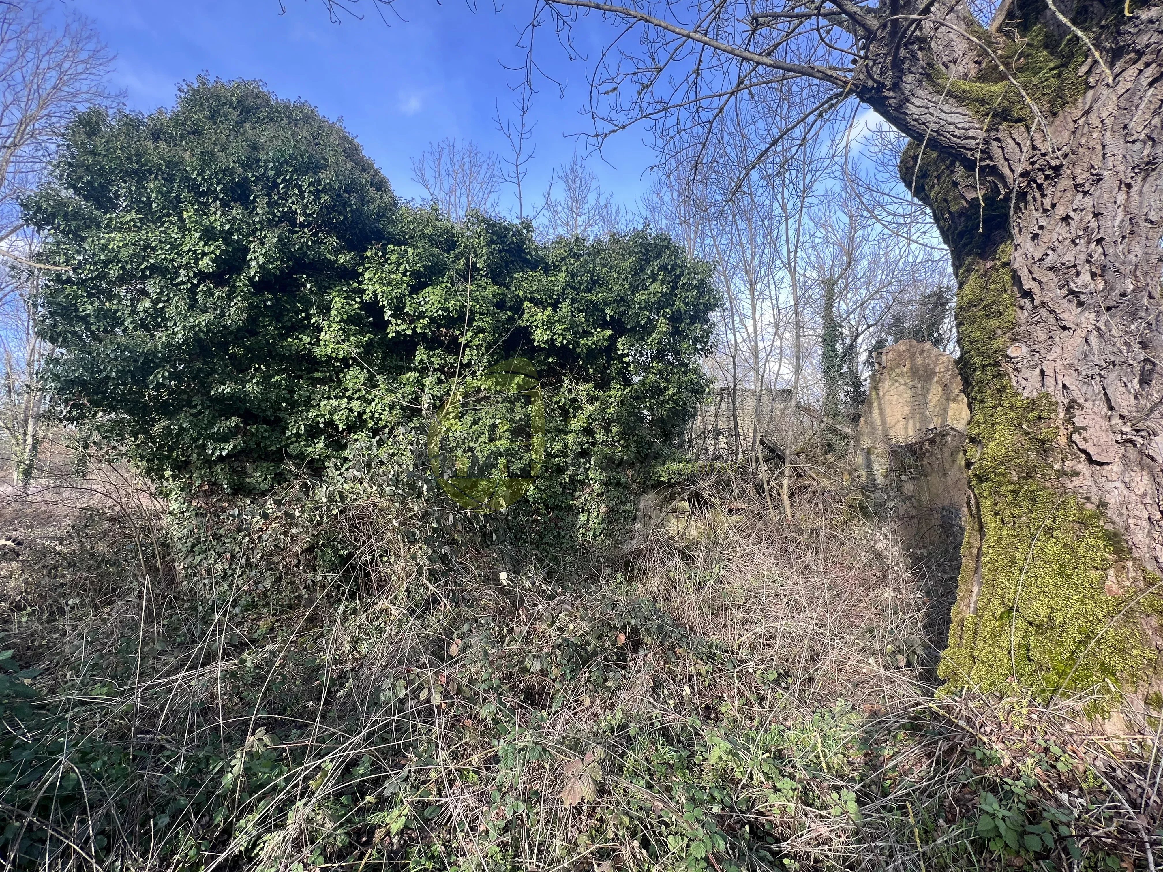 Ruined house next Gouzon