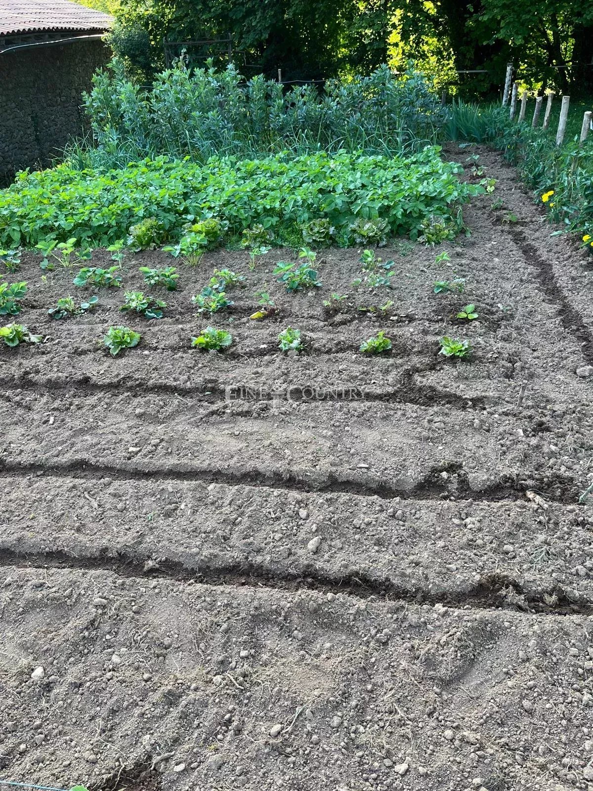 Photo of House for sale in Charente, near Dordogne