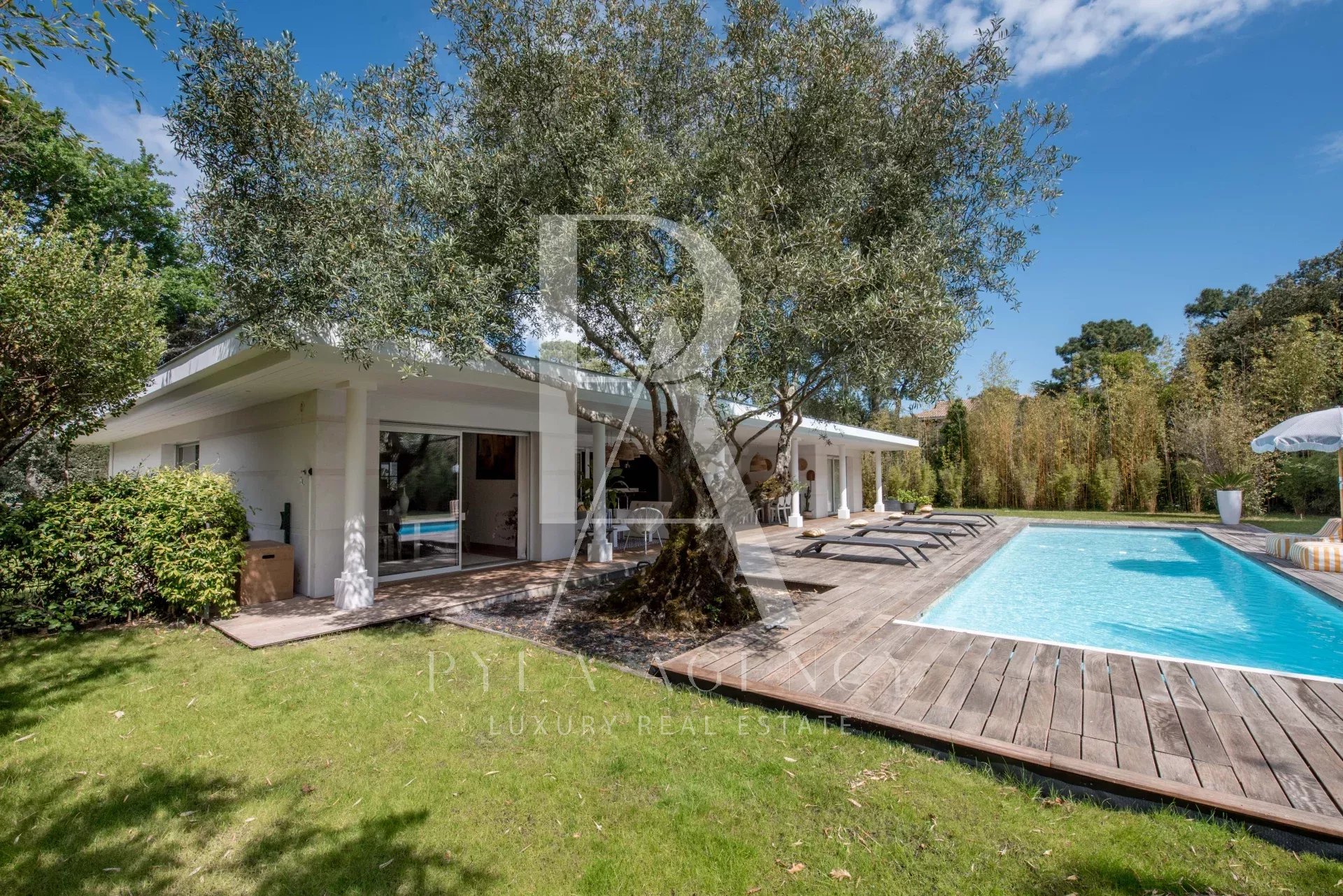 Agence immobilière de Côte d'Argent Immobilier