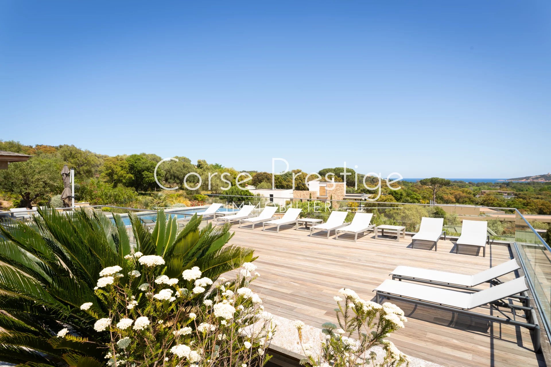villa contemporaine a vendre plage de pinarello - porto vecchio image12
