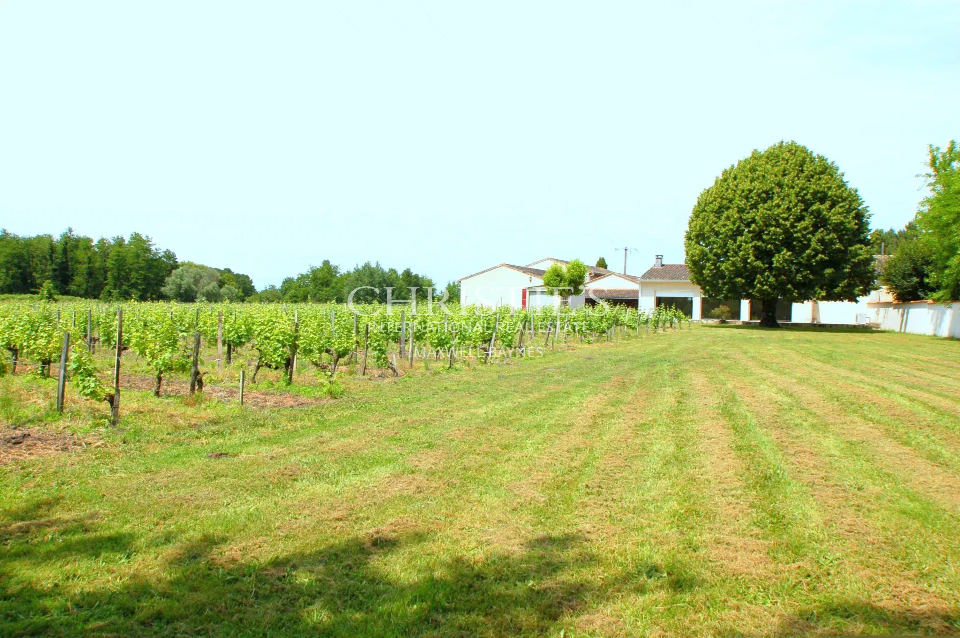 2 Bedroom Vineyard's Image 11