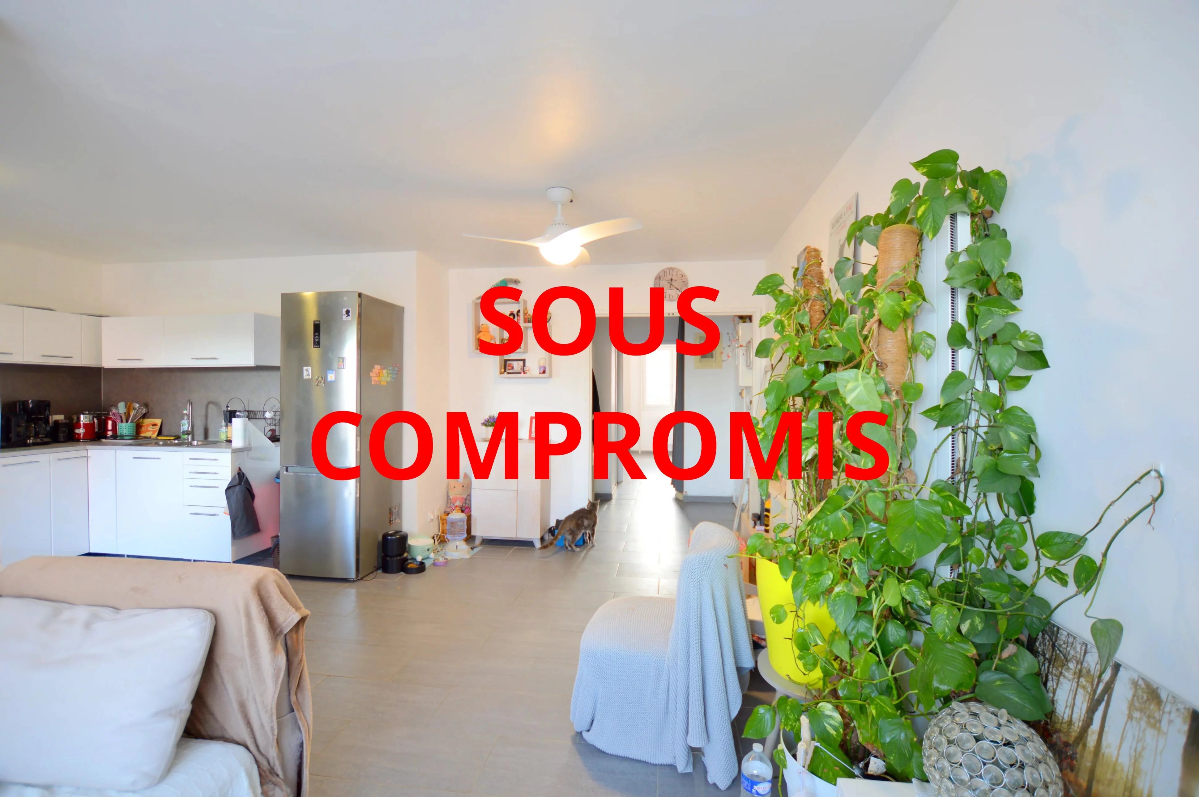 T3 65 m² lumineux – 2 chambres – Résidence sécurisée – Montpellier Pompignane