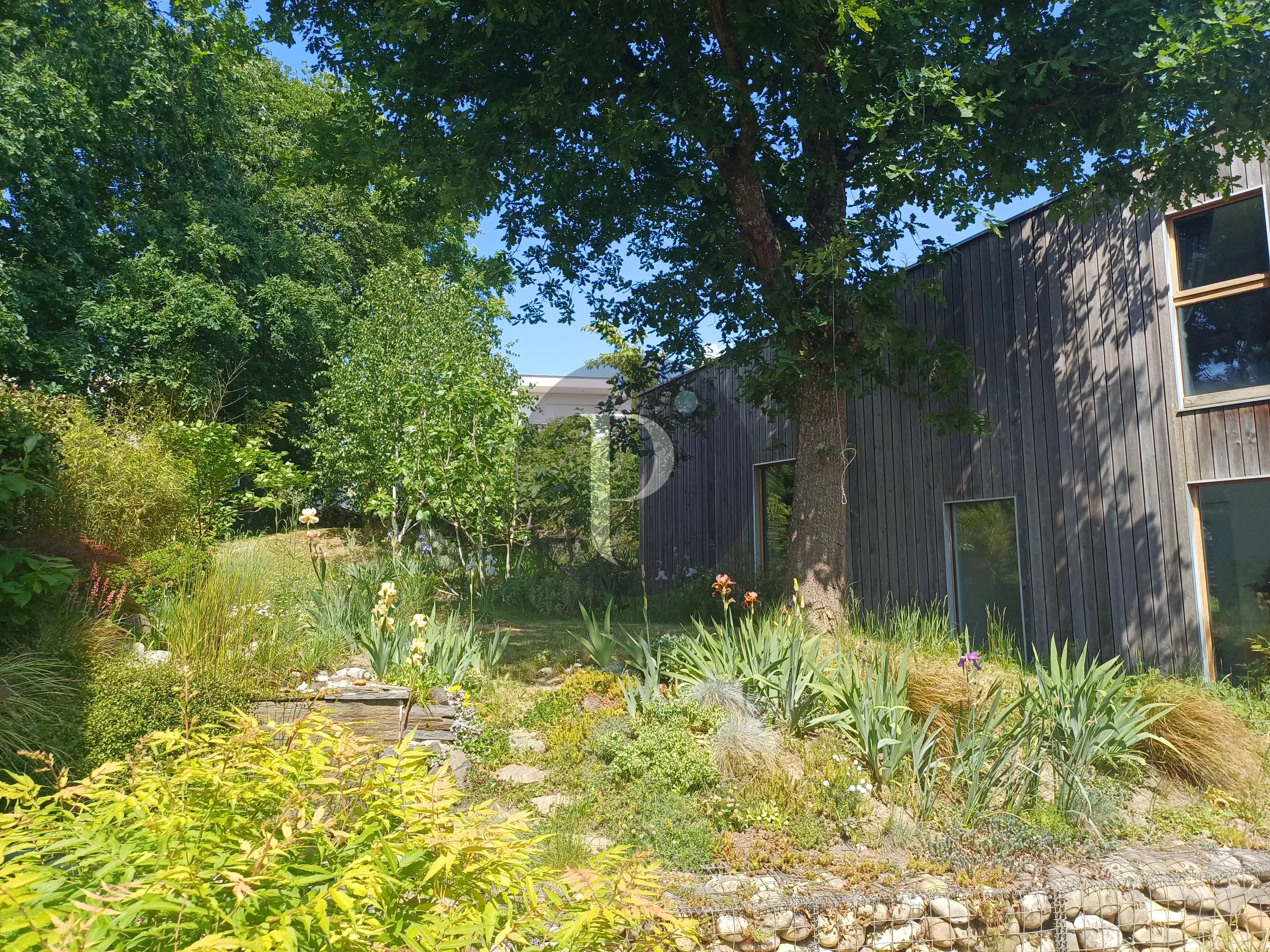 vente-maison-verrieres-le-buisson-85765885