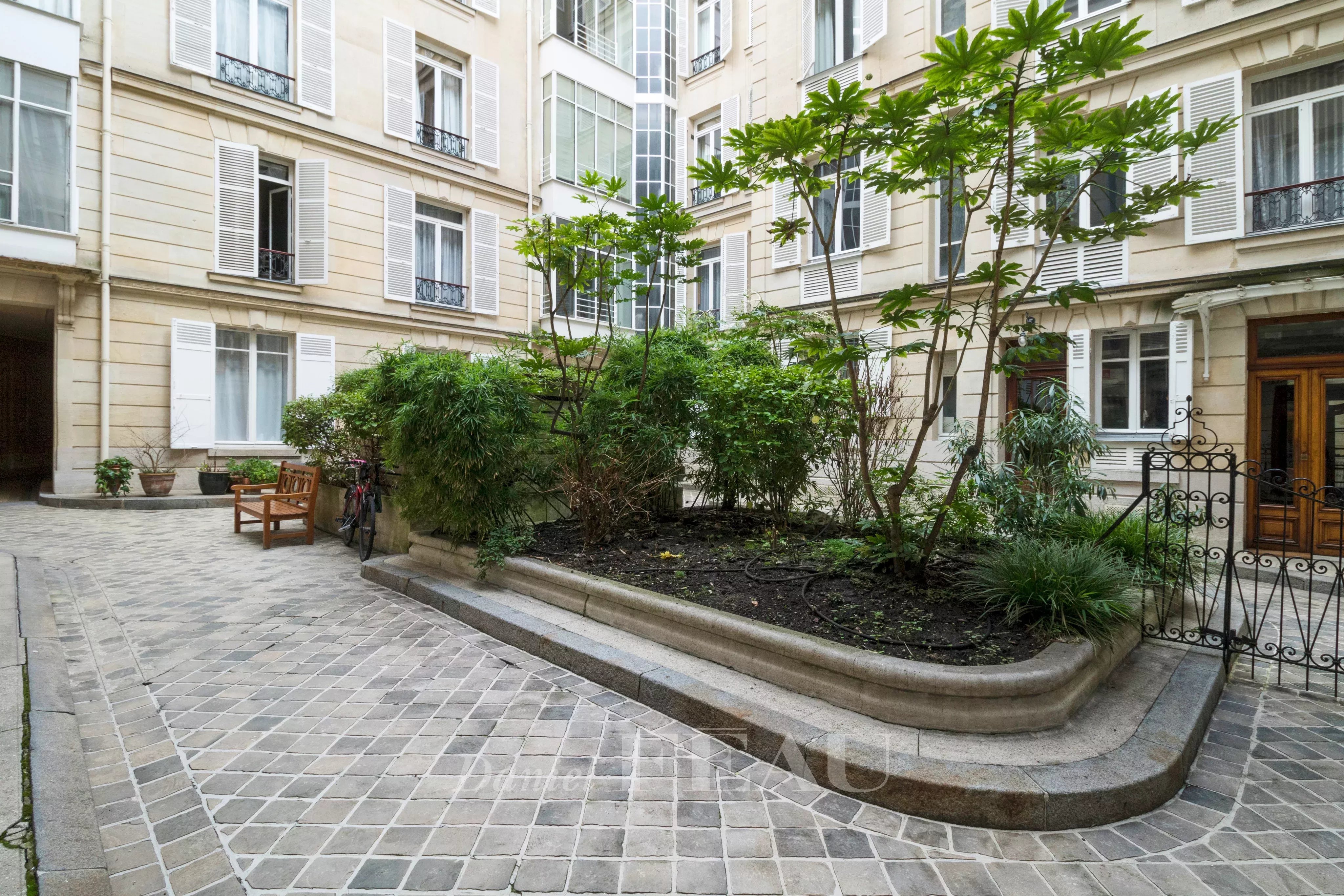 Cour