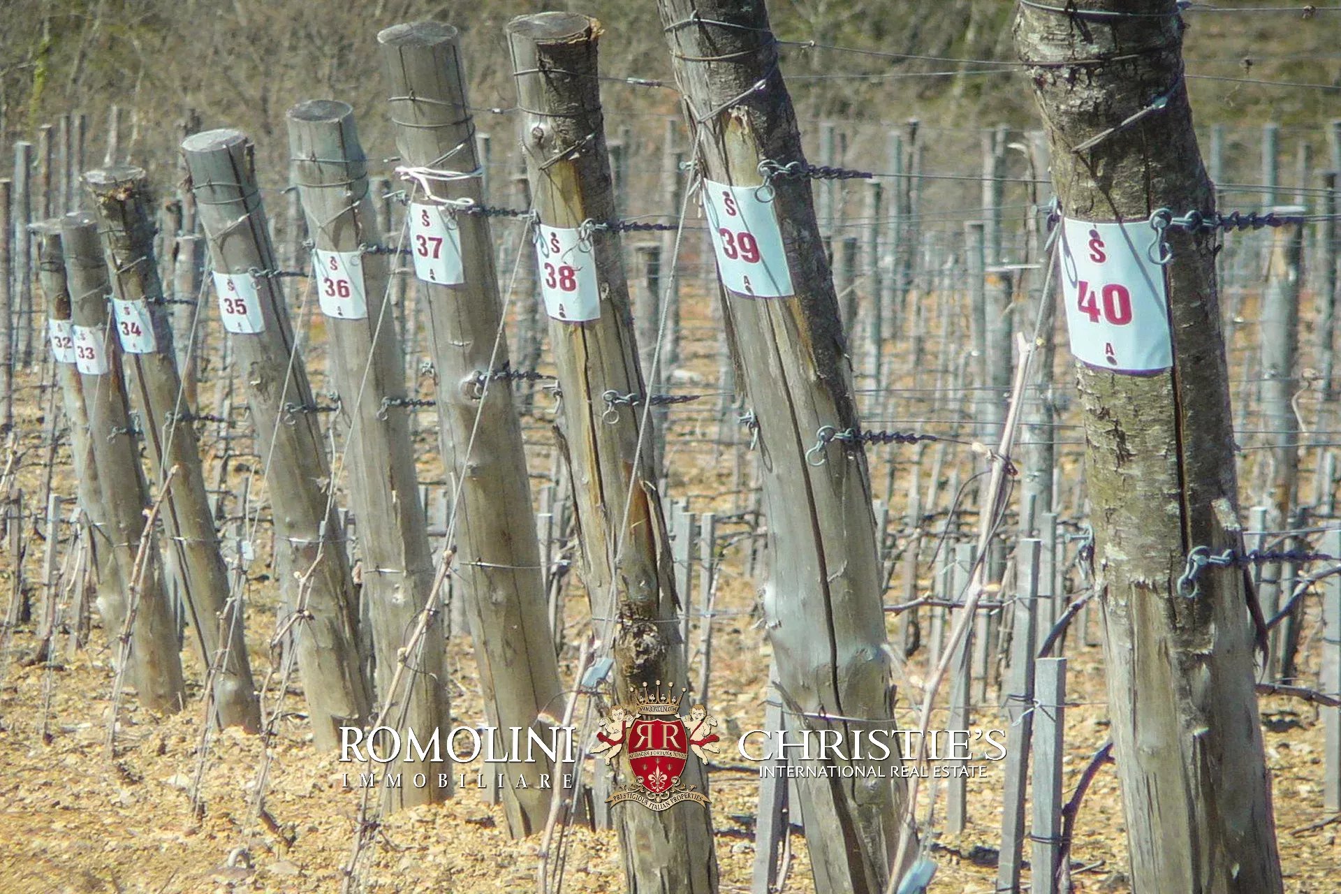 6 Bedroom Vineyard's Image 18