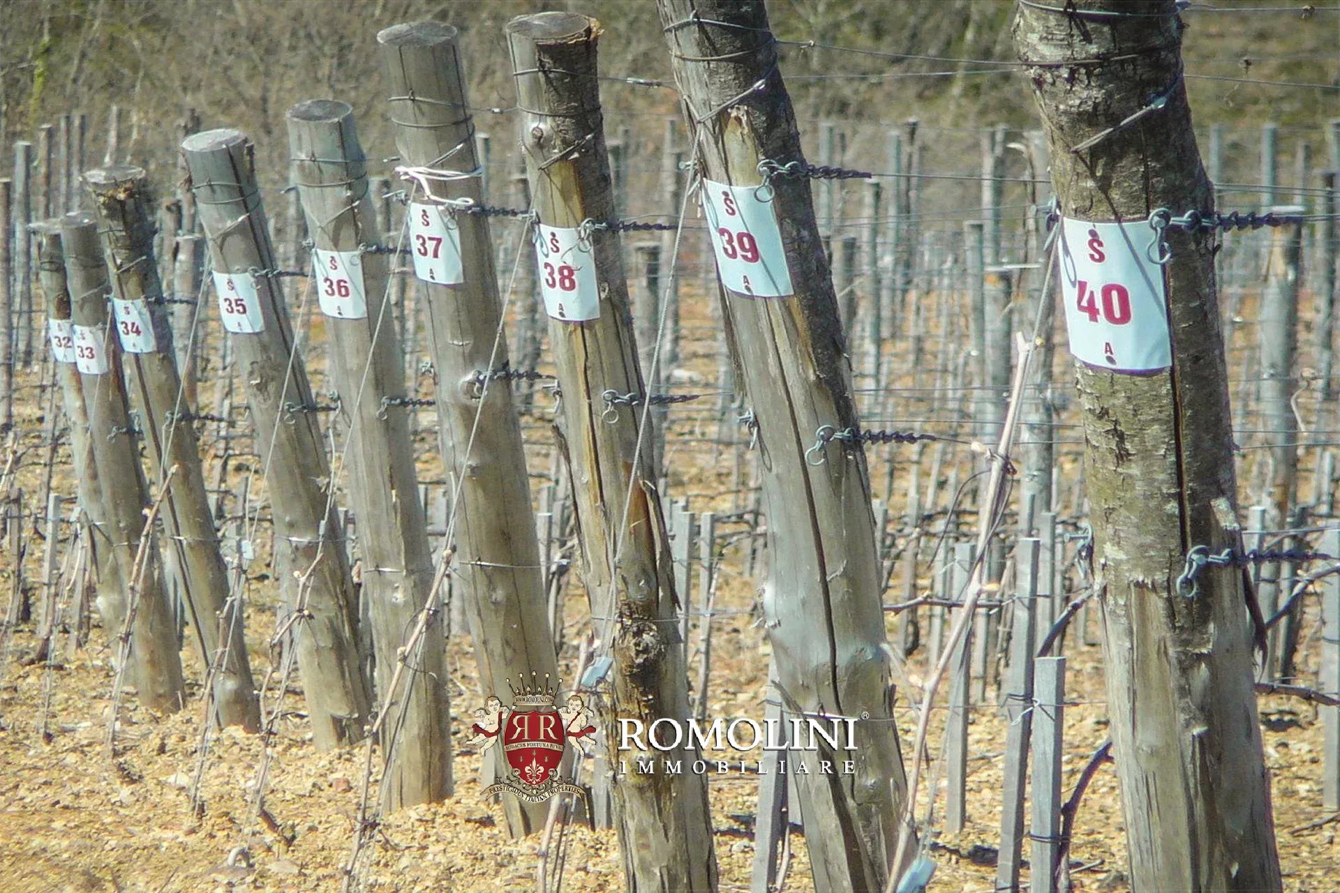 6 Bedroom Vineyard's Image 18