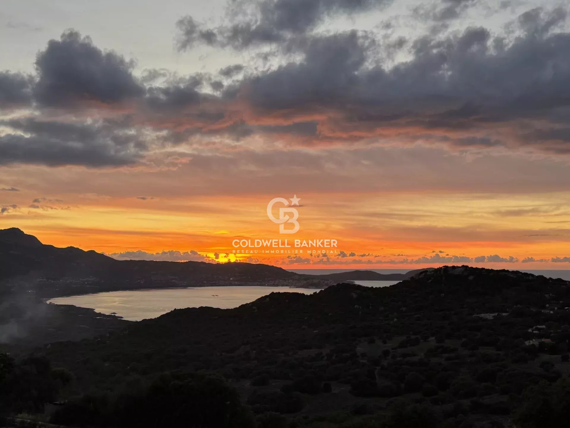 Agence immobilière de Coldwell Banker Allegrini Realty