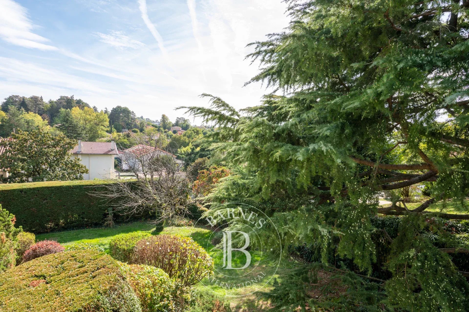 Ev Sainte-Foy-lès-Lyon - picture 11