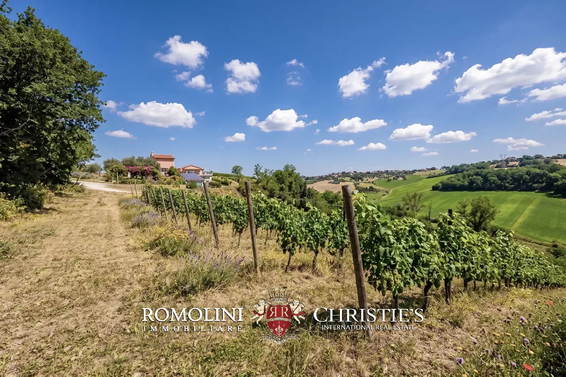 5 Bedroom Vineyard's Image 15