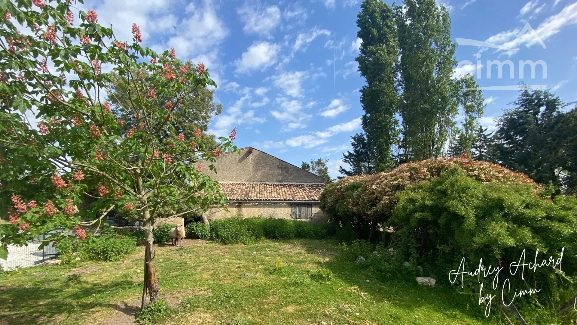 Troisième photo