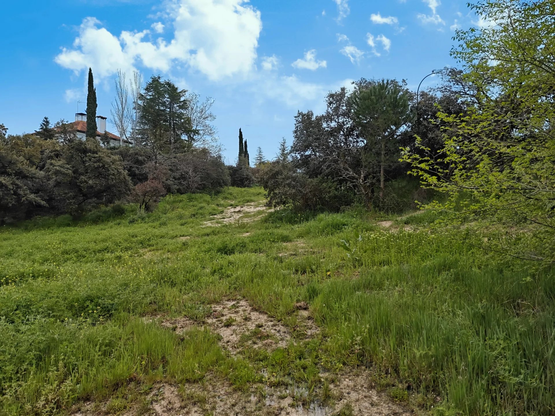 Vente Terrain Ciudalcampo