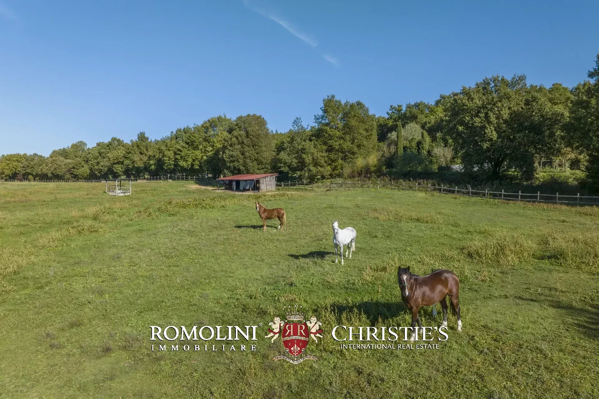 9 Bedroom Horse Property's Image 27