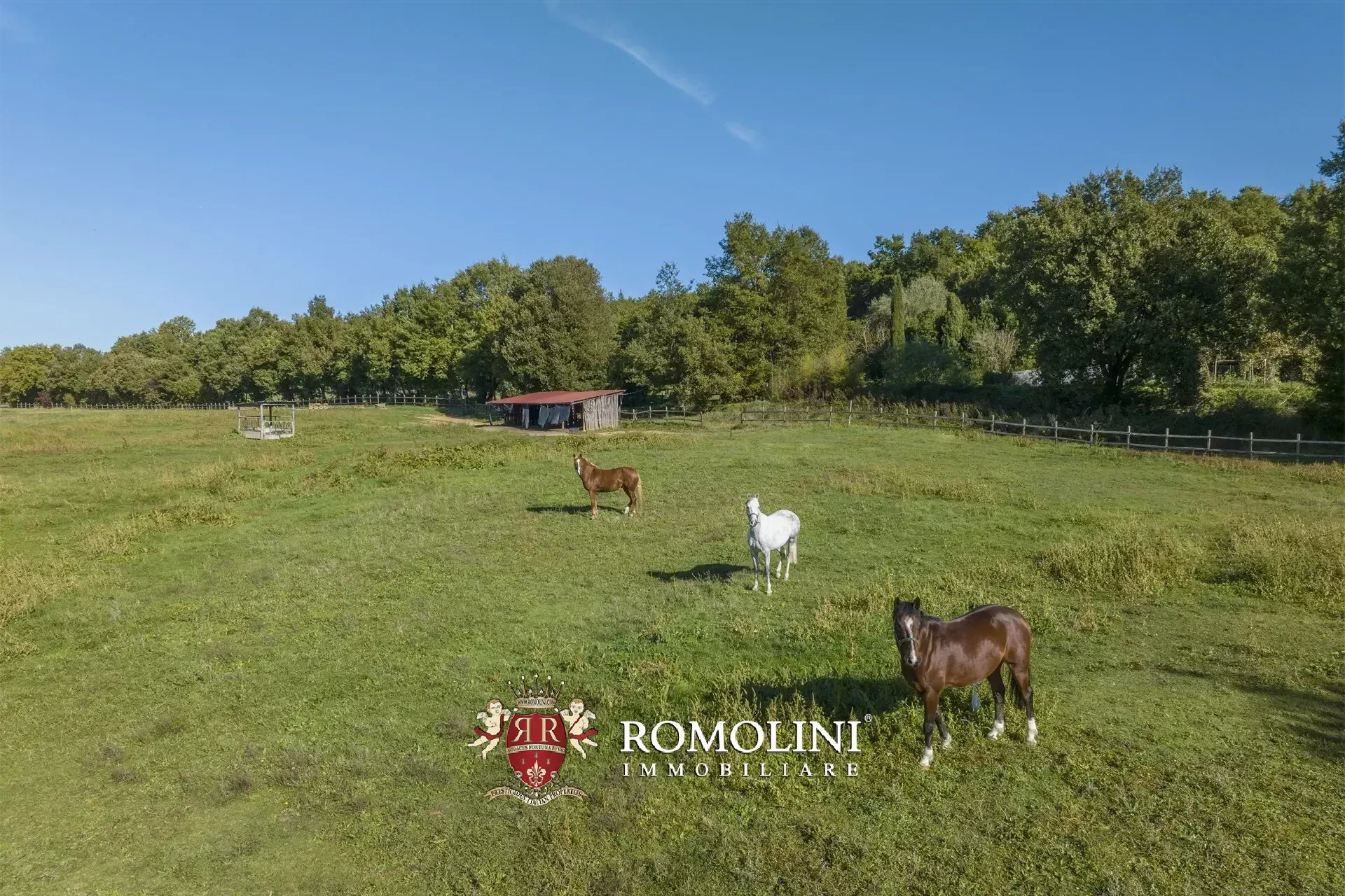 9 Bedroom Horse Property's Image 27