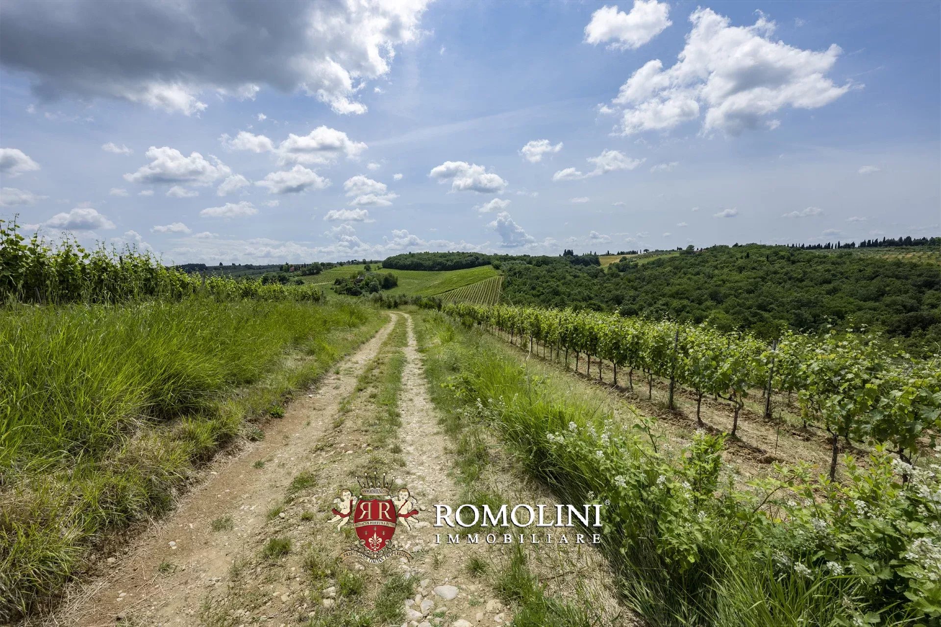 7 Bedroom Vineyard's Image 7