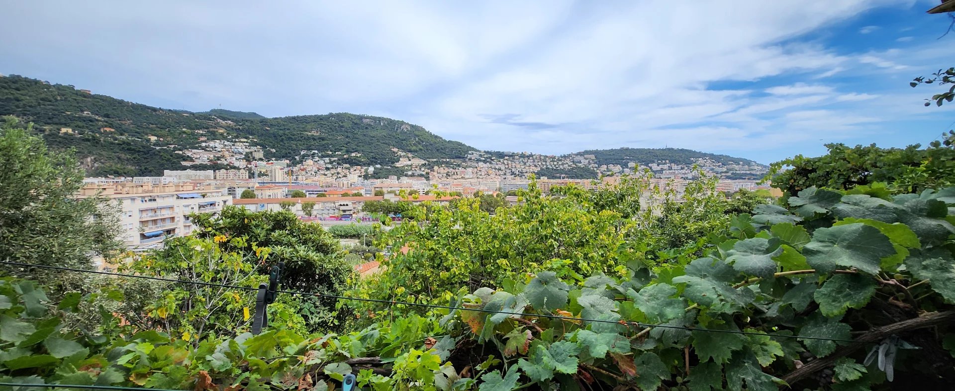 Agence immobilière de AZUR LOC INVEST