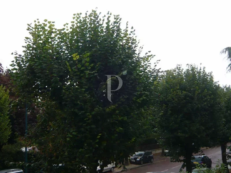 vente-appartement-2-pieces-sceaux-83876940